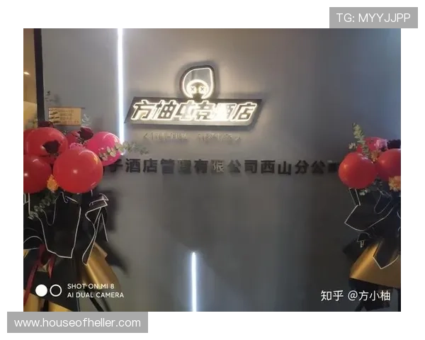 开云电竞官网app注册登录流程详解，解决新用户常见问题实现顺畅体验